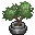 potted_plants.rsi (plant-21, Textures-Structures-Furniture).png