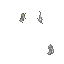 parts.rsi (l_arm, Textures-Mobs-Species-Diona).png