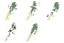 meals.rsi (memoryLeek, Textures-Objects-Consumable-Food).png